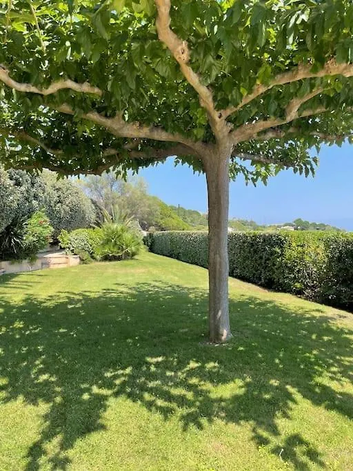 Propriete De Luxe En Bord De Mer Grimaud